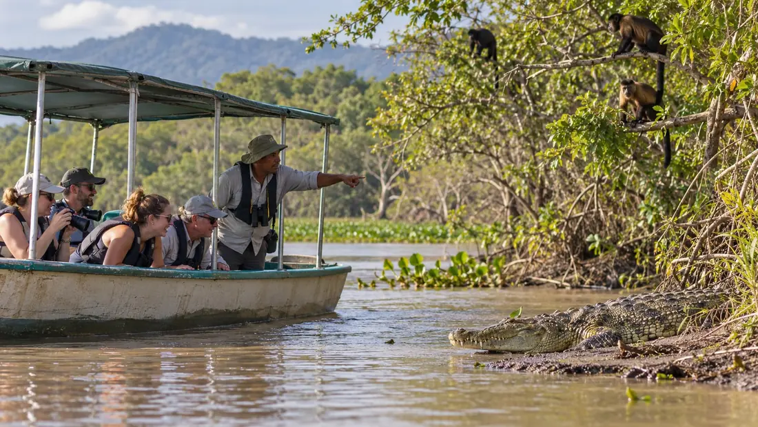 Guests spot a crocodile from a safari boat on the Tempisque River
